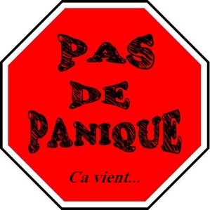 pasdepanique